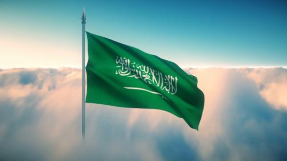 حكومة المملكة تندد باختطاف قاطرة رابغ 3 البحرية في مضيف باب المندب على أيدي الحوثيين